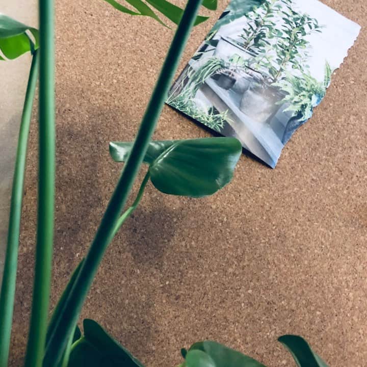 Korkplade - Luksus Natur opslagstavle - VIAMAJA.DK