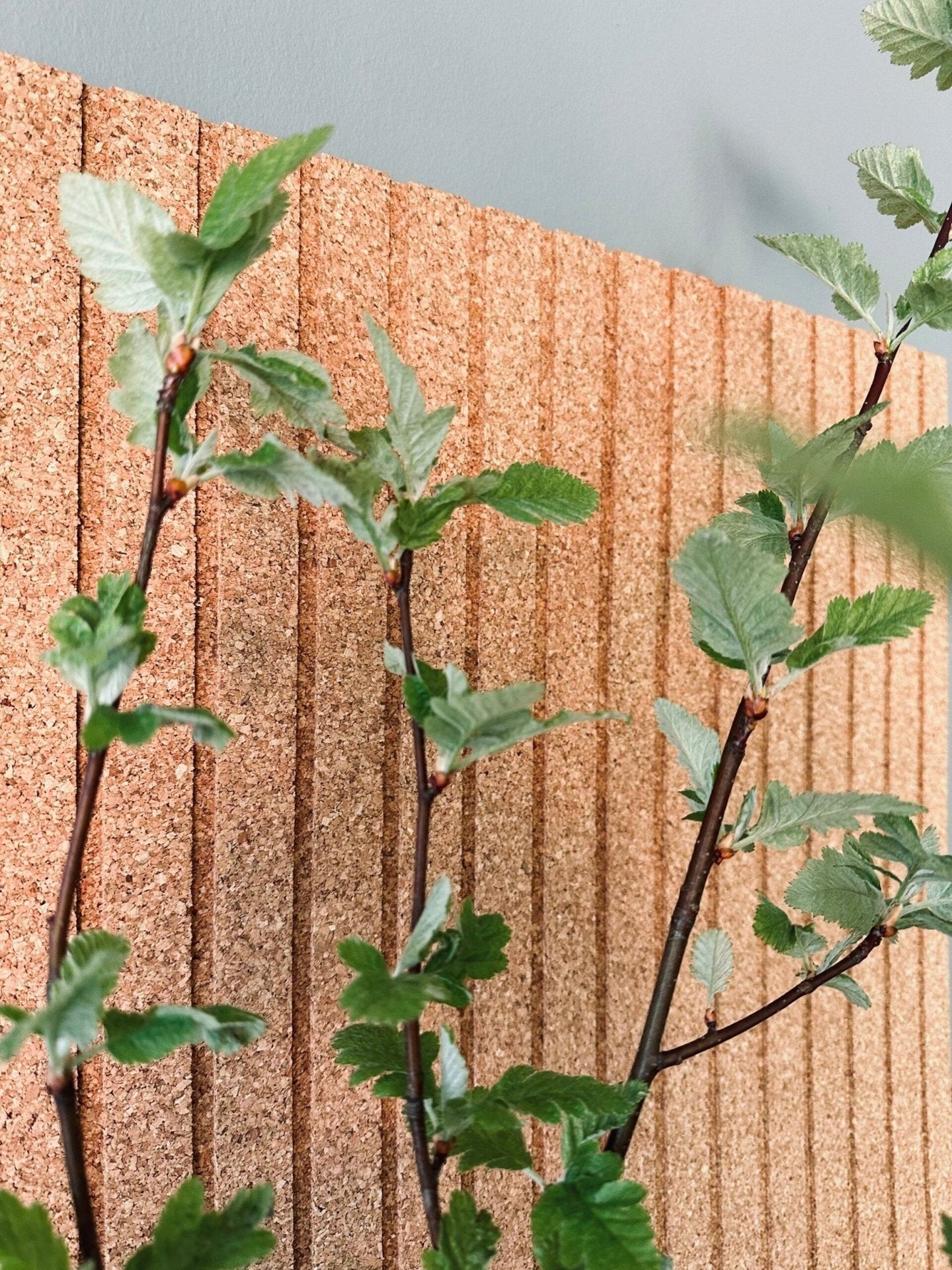 Korkplade Natur m. Panel effekt – Støjdæmpende - VIAMAJA.DK