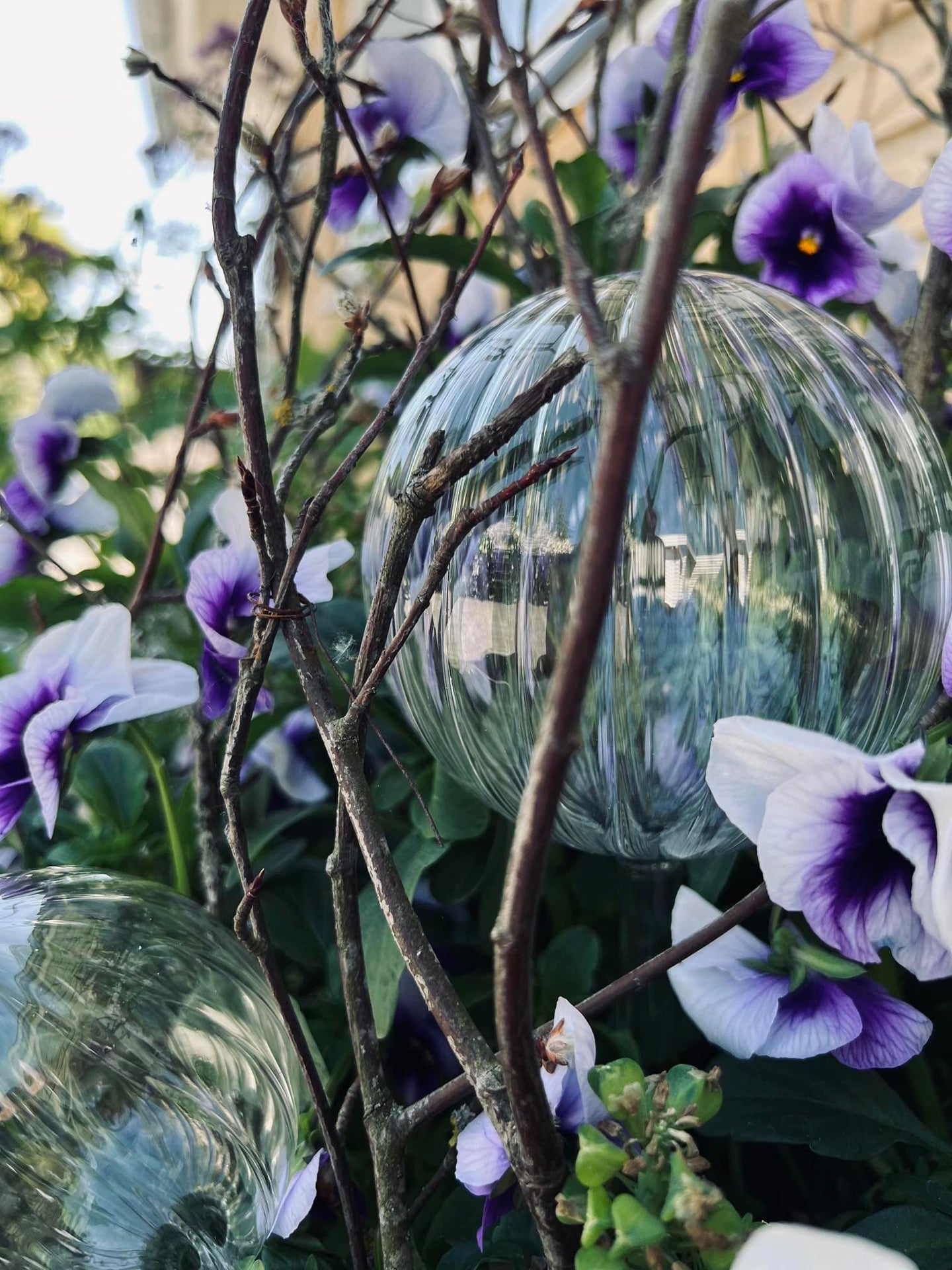 Kugler i klar glas - Sæt af 2 stk til vanding af blomster - VIAMAJA.DK