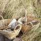 Kurve-sæt fra Meraki - 2 stk - VIAMAJA