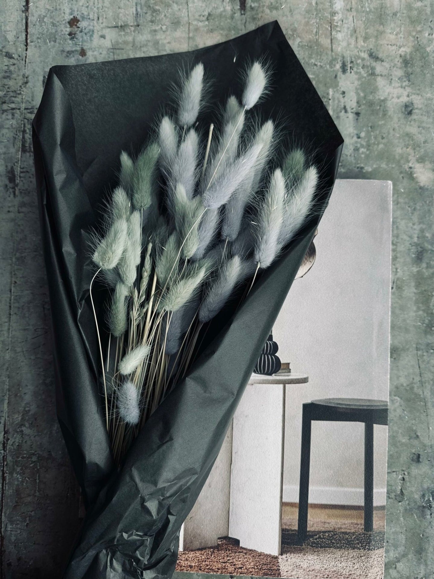 Lagurus – grey mist - VIAMAJA.DK