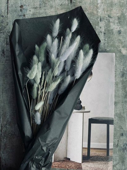 Lagurus – grey mist - VIAMAJA.DK