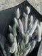 Lagurus – grey mist - VIAMAJA.DK