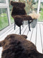 Lammeskind Brun 85x55cm - VIAMAJA.DK