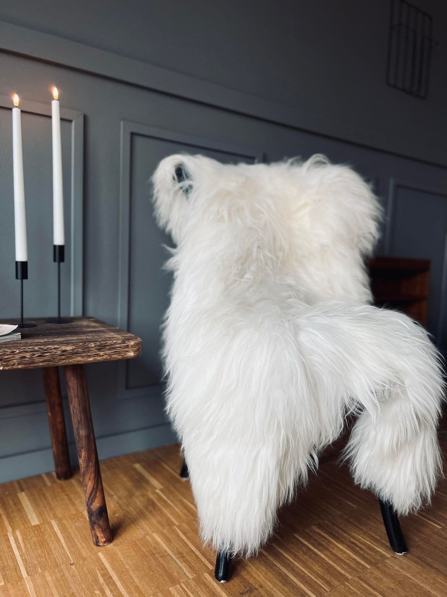 Lammeskind Grønlandsk - Glat langhåret - VIAMAJA.DK