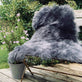 Lammeskind Langhåret Himalaya – Dark Grey - VIAMAJA.DK