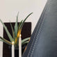 Lampe 