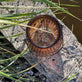 Lanterne – Rillet glas Gylden - VIAMAJA.DK