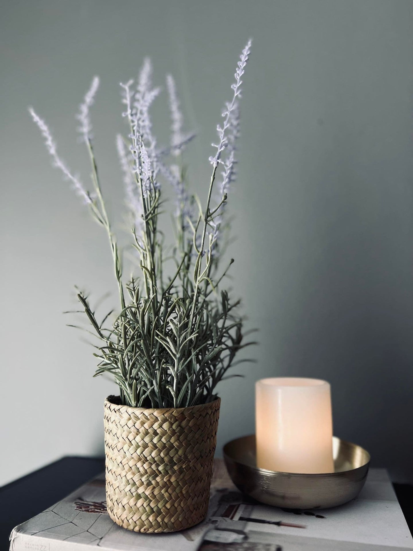 Lavendel i naturpotte - Lys lilla - VIAMAJA.DK