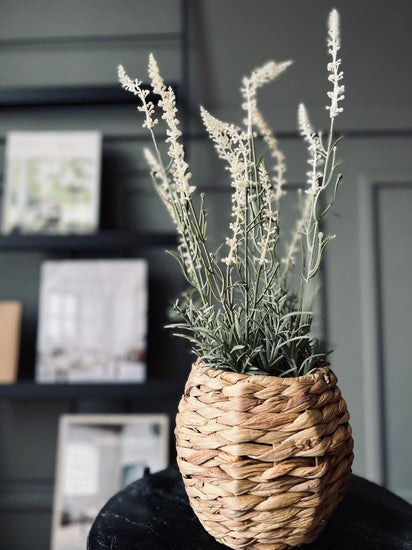 Lavendel mix - H 46cm - VIAMAJA.DK