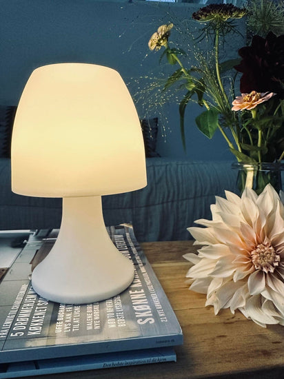 LED Bordlampe - Tilbud 2 stk - VIAMAJA.DK
