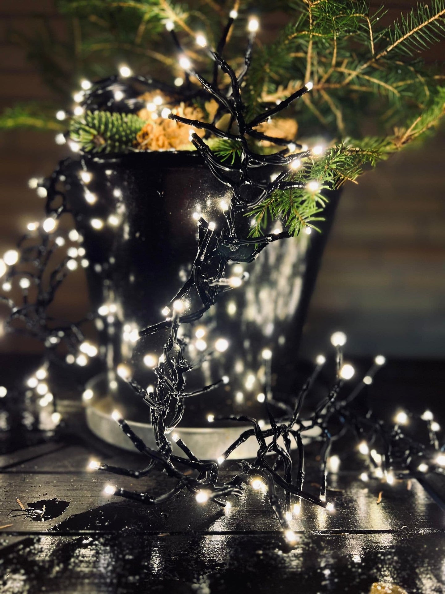 Lyskæde med 1600 lys - Cluster godkendt Inde / Ude - VIAMAJA.DK