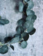 Lyskæde med eucalyptus - VIAMAJA.DK