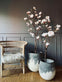 Magnoliatræ i pot - 160cm - VIAMAJA.DK