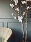 Magnoliatræ i pot - 160cm - VIAMAJA.DK