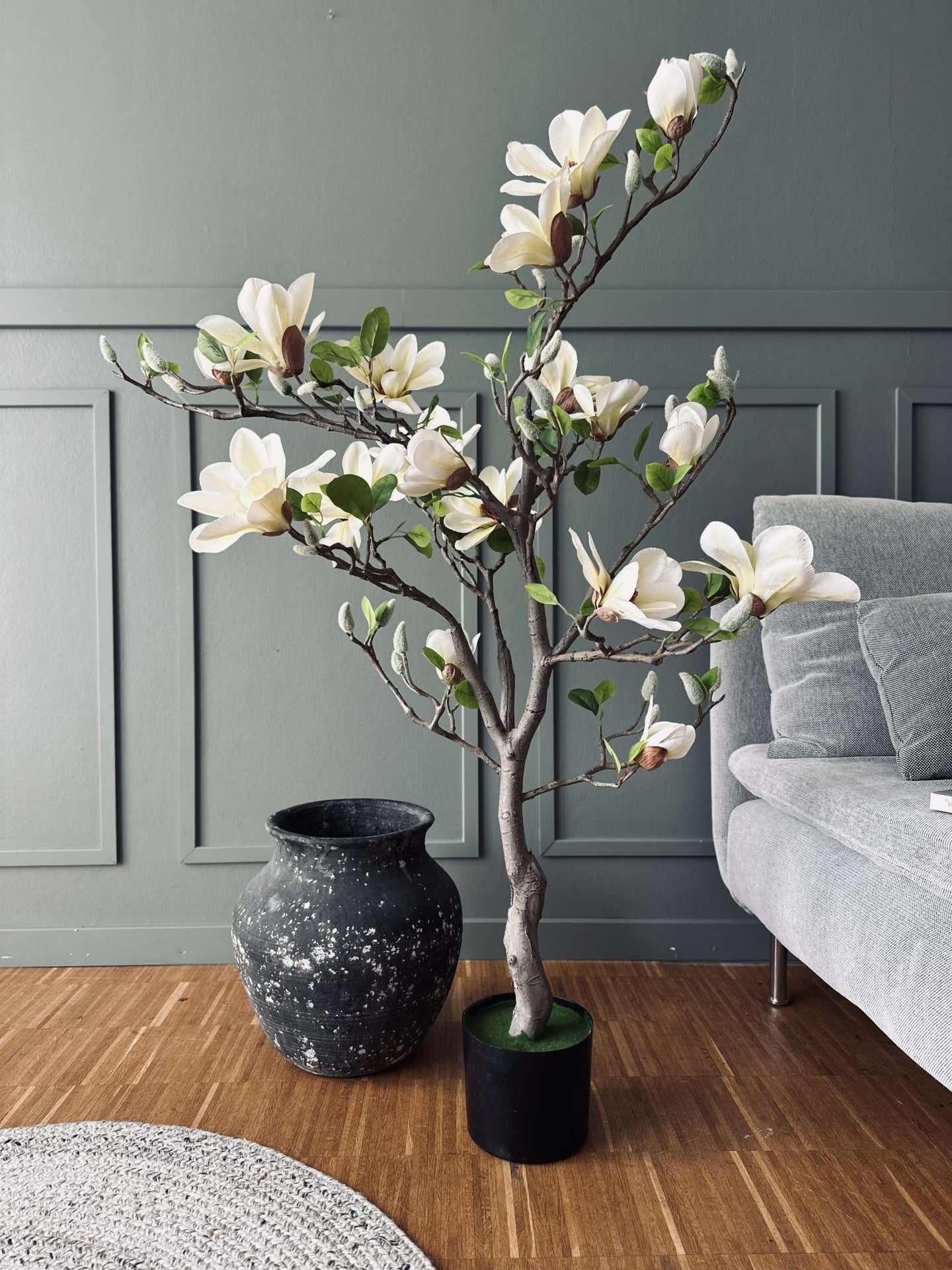 Magnoliatræ i potte - 120 cm Hvid / Lime - VIAMAJA.DK