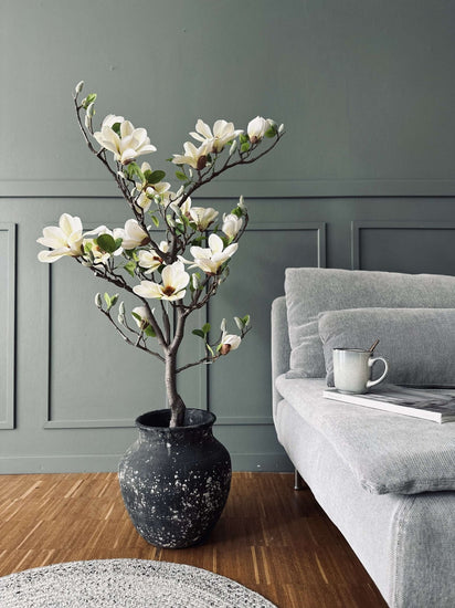Magnoliatræ i potte - 120 cm Hvid / Lime - VIAMAJA.DK