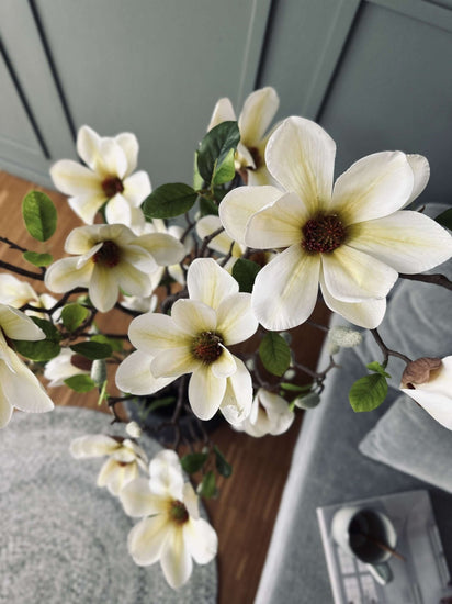 Magnoliatræ i potte - 120 cm Hvid / Lime - VIAMAJA.DK