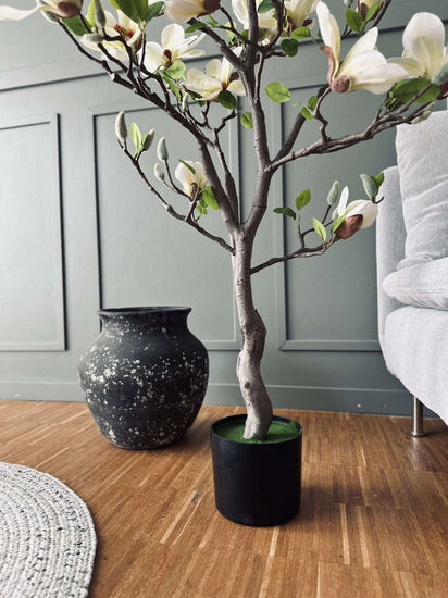 Magnoliatræ i potte - 120 cm Hvid / Lime - VIAMAJA.DK