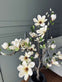 Magnoliatræ i potte - 120 cm Hvid / Lime - VIAMAJA.DK
