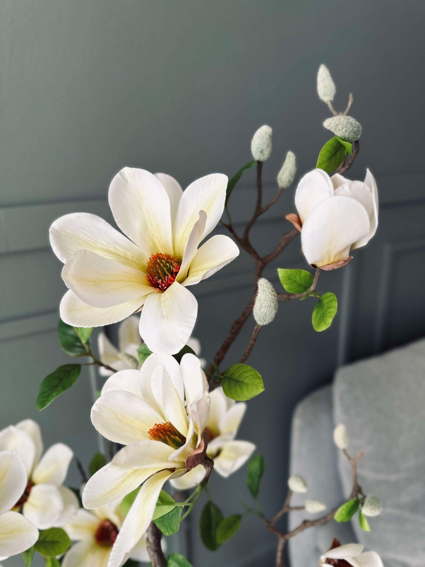 Magnoliatræ i potte - 120 cm Hvid / Lime - VIAMAJA.DK