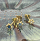 Mix box GIA Royal blue, blue, clear - VIAMAJA.DK