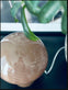 Mushroom bordlampe – Brun - VIAMAJA.DK