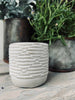 Mygglys - Citronella Stone