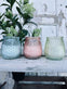 Myggelys Color – Citronella Mix i farvet glas - VIAMAJA.DK