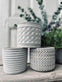 Myggelys i cement potte - Citronella mix - VIAMAJA.DK