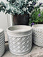 Myggelys i cement potte - Citronella mix - VIAMAJA.DK