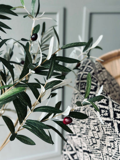 Oliventræ 120 cm - VIAMAJA.DK