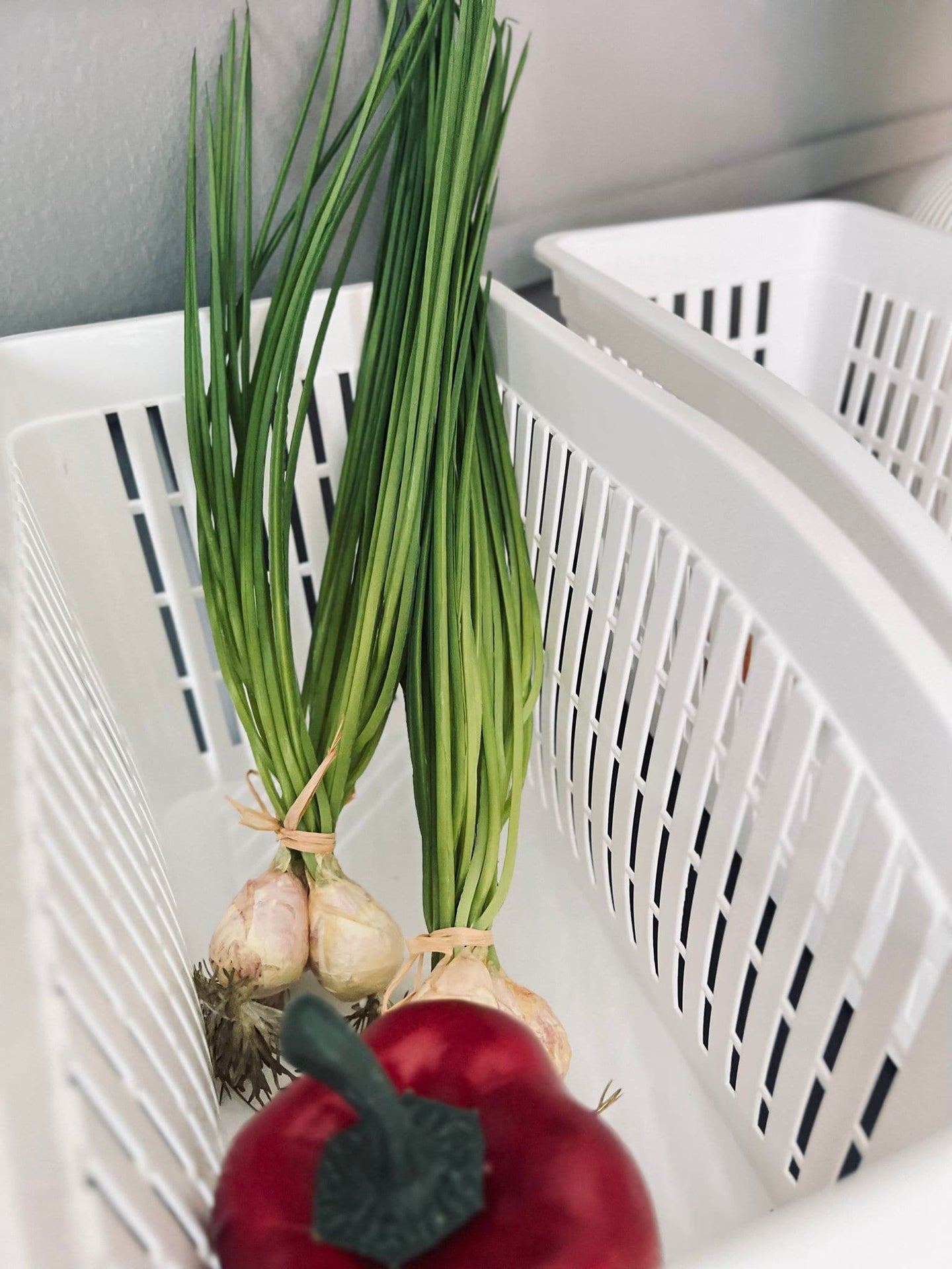 Opbevaring til køleskab - Stor - VIAMAJA.DK