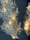 Pampas med LED lys og timerfunktion - VIAMAJA.DK