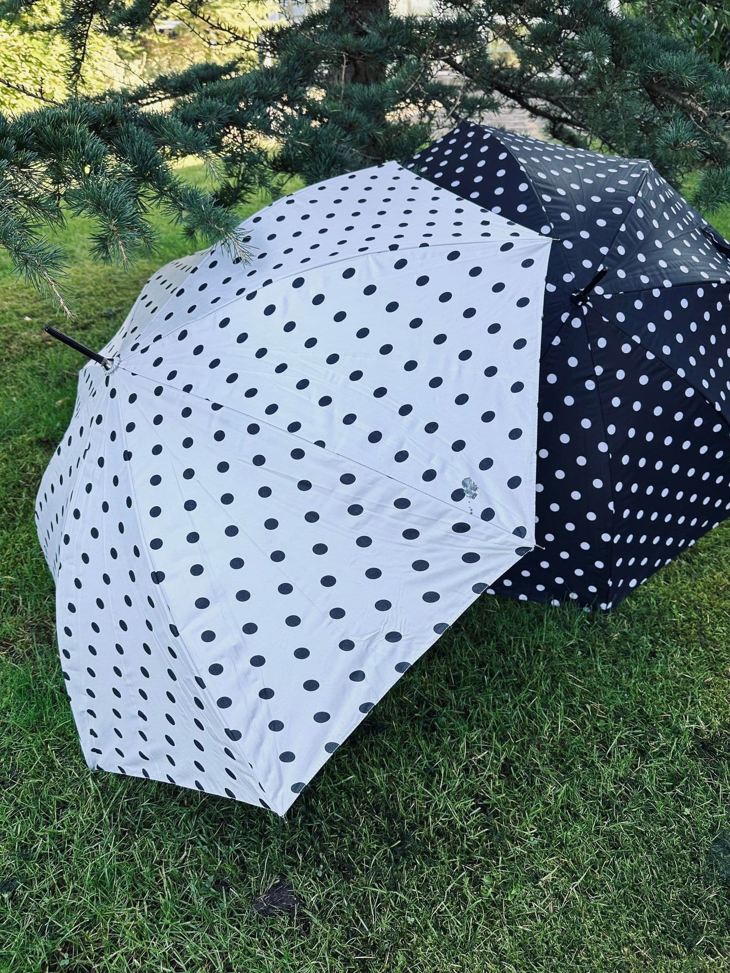Paraply - Hvid med dots - VIAMAJA.DK