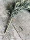 Pile gren - 55 cm - VIAMAJA.DK