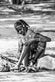 Plakat Beach boy - 50x70 cm - VIAMAJA.DK