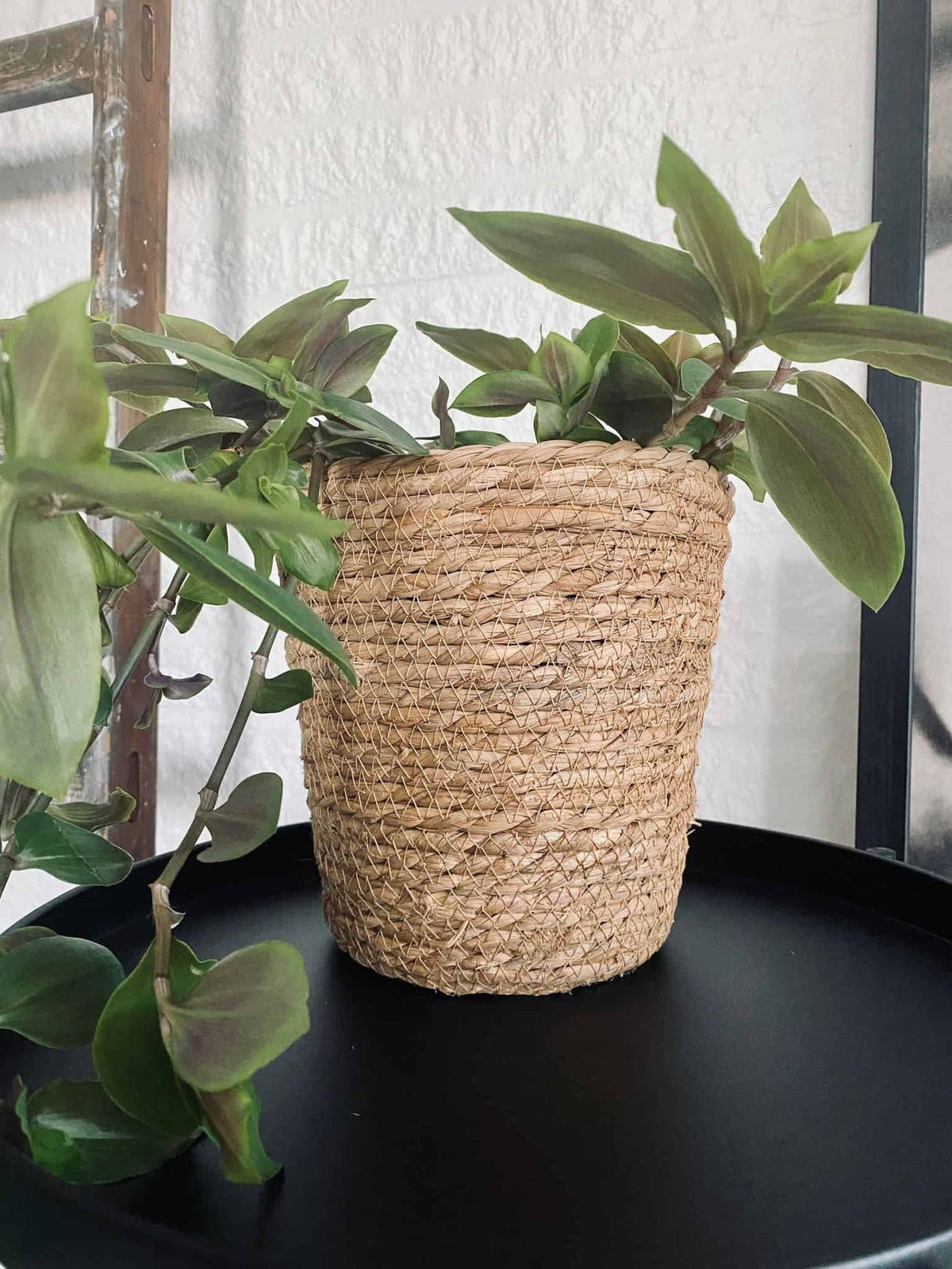 Plantekurv - natur - VIAMAJA.DK