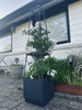 Plantetårn til tomater og klatreplanter