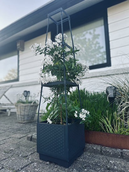 Plantetårn til tomater og klatreplanter - VIAMAJA.DK