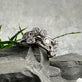 Ring Miriam Clear - Sterling Silver - VIAMAJA.DK