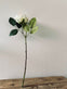 Rose 45cm – Hvid - VIAMAJA.DK