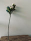 Rose 54cm – Pink - VIAMAJA.DK