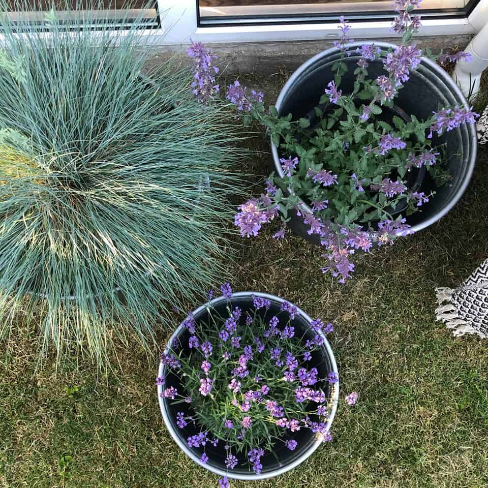 Rustik blomsterbalje i zink – Mellem - VIAMAJA