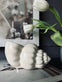 Shell Keramik 13×21 small - VIAMAJA.DK