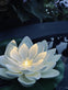 Solcelle LOTUS – 1 stk - VIAMAJA.DK