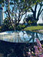 Spejlbassin - Dia 60 corten Rust - VIAMAJA.DK
