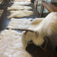 Store Hvide 2. Sortering´s Tilbud - 120-130 cm! - VIAMAJA