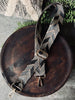 Taskerem - LUX