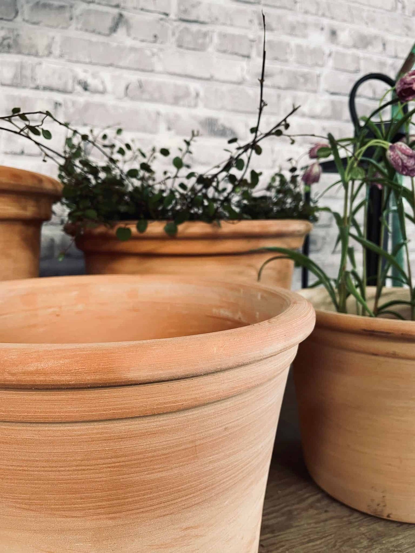 Terracotta sæt af 4 potter - AFHENTER TILBUD - VIAMAJA.DK